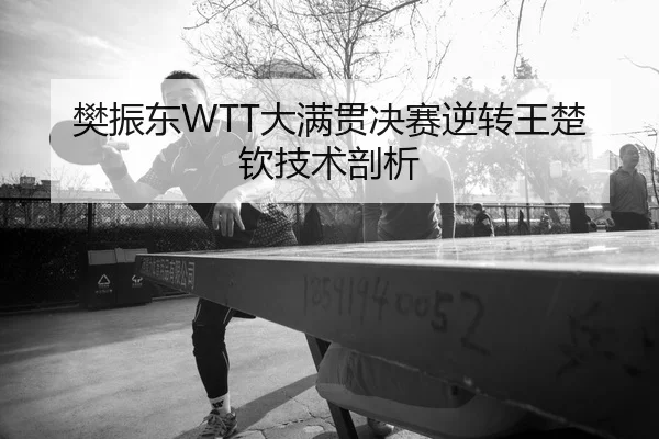 樊振东WTT大满贯决赛逆转王楚钦技术剖析